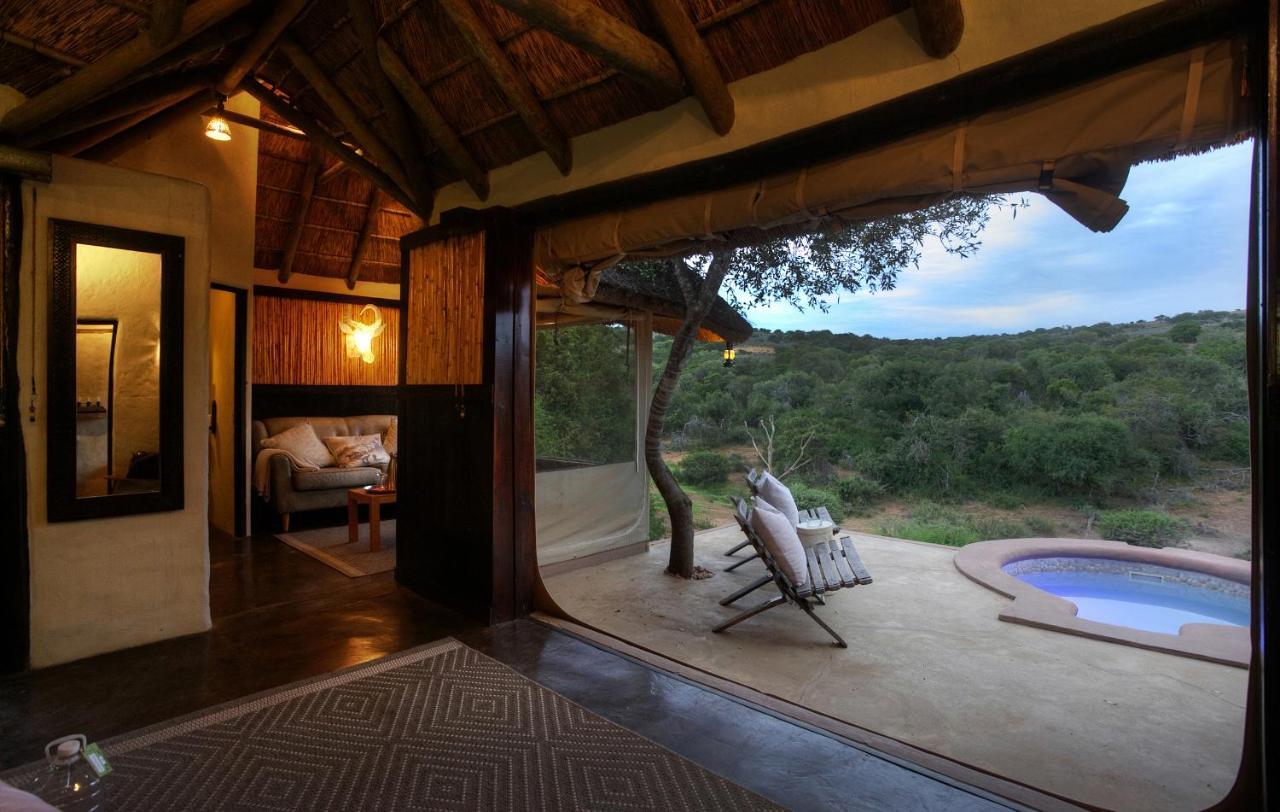 Safari Lodge - Amakhala viltreservat Exteriör bild