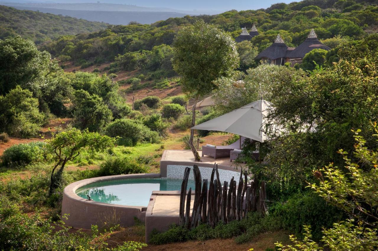 Safari Lodge - Amakhala viltreservat Exteriör bild