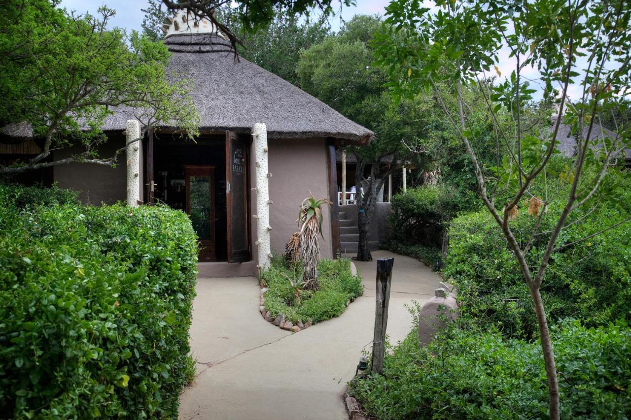 Safari Lodge - Amakhala viltreservat Exteriör bild