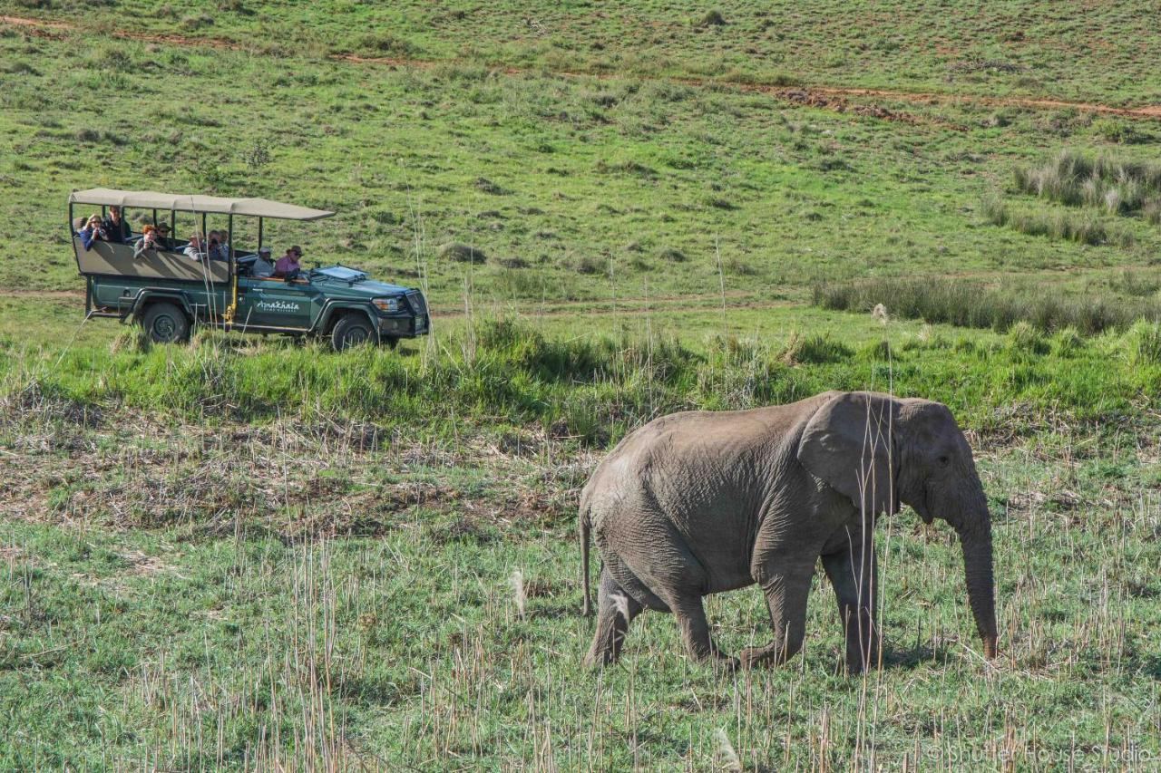 Safari Lodge - Amakhala viltreservat Exteriör bild