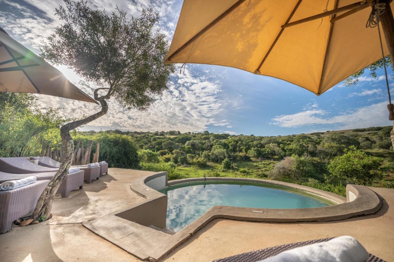 Safari Lodge - Amakhala viltreservat Exteriör bild