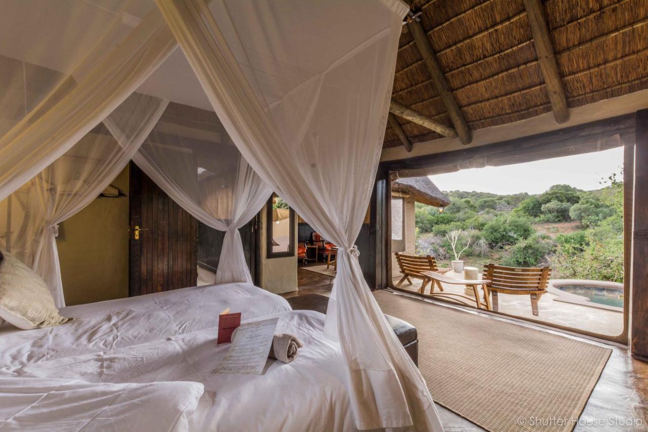 Safari Lodge - Amakhala viltreservat Exteriör bild
